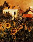 Gustave Caillebotte Sunflowers, Garden at Petit Gennevilliers oil painting artist